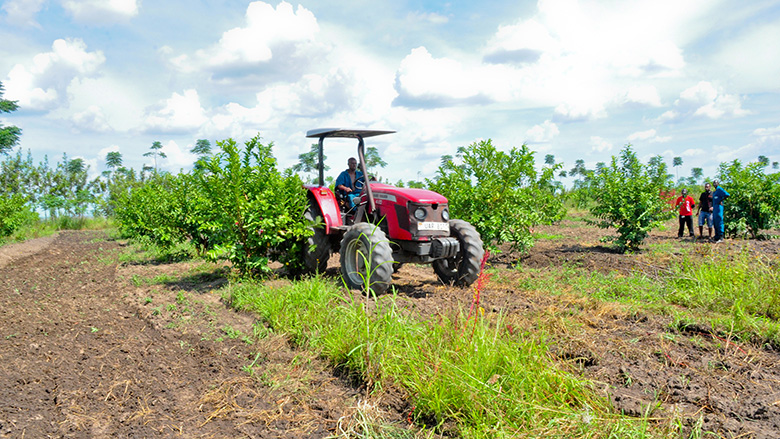 Uganda Economic Update 6: Better Land Management Can Support Economic Growth
